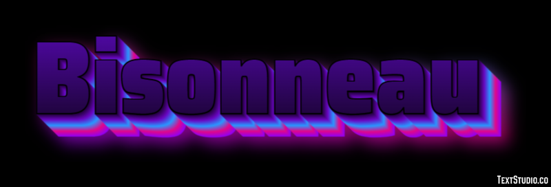 Bisonneau Effet de Texte