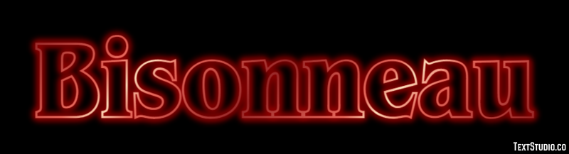 Bisonneau Effet de Texte