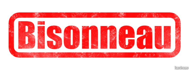 Bisonneau Efekt tekstowy