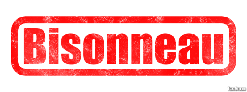 Bisonneau Эффект текста