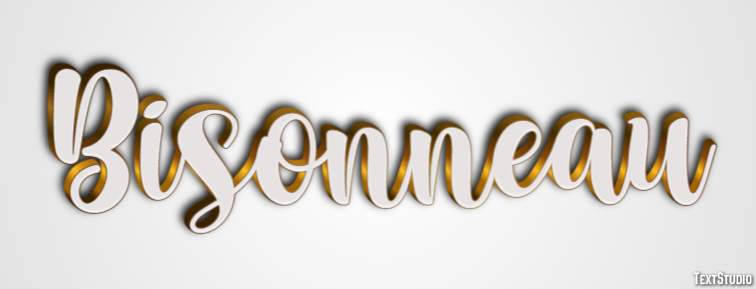 Bisonneau Effet de Texte