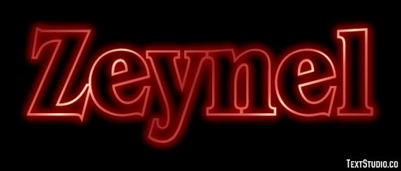Zeynel Metin efekti