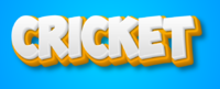 Cricket Text effect