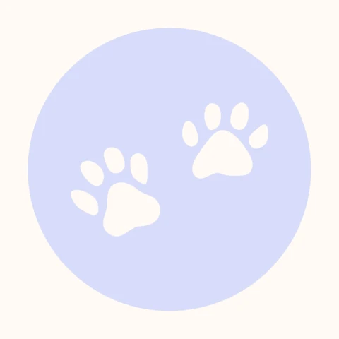 Paws Instagram Story Highlight Cover Design Template
