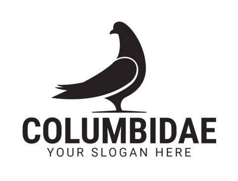 Columbidae Bird Logo Design Template