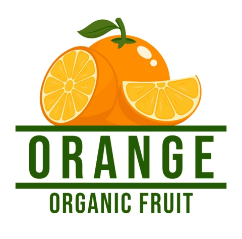 Organic Orange Logo Design Template