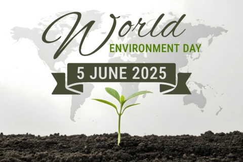 Minimalist and Striking Sapling Design For Environment Awareness