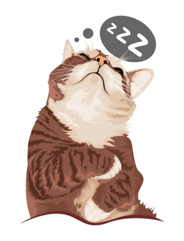 Ilustración de gato durmiendo, caricatura pacífica, diseño de camiseta para la hora de la siesta.
