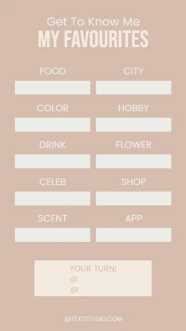 Personal Favorites Get To Know Me Questionnaire Instagram Story Post Design