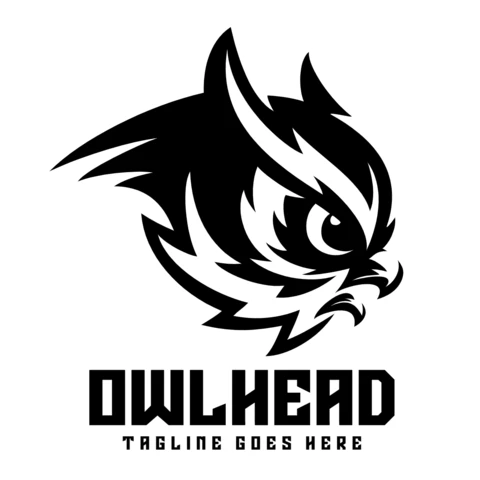Modèle de logo et d'image de marque pour la tête de hibou