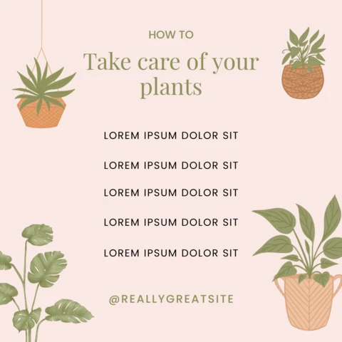 Consejos para el cuidado de las plantas plantilla de diseño de post de instagram