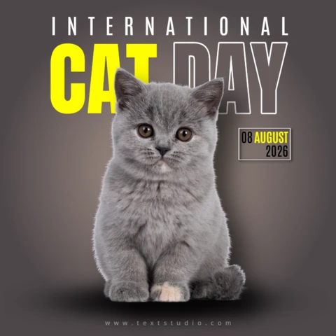 Modern International Cat Day Instagram Post
