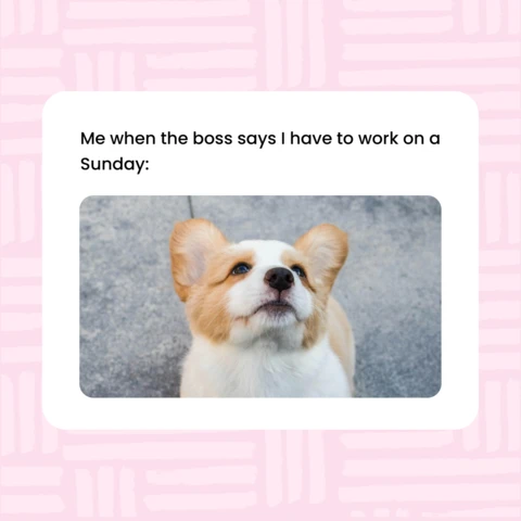 Relatable Work Humor Instagram Post Design Template