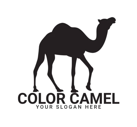 Color Camel Logo Design Template