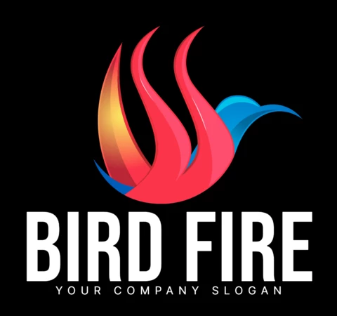 Modèle de conception de logo d'entreprise de feu d'oiseau coloré