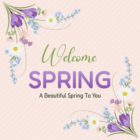 Plantilla de diseño de tarjeta de saludo de primavera con coloridos crocus, margaritas y tipografía estacional alegre.