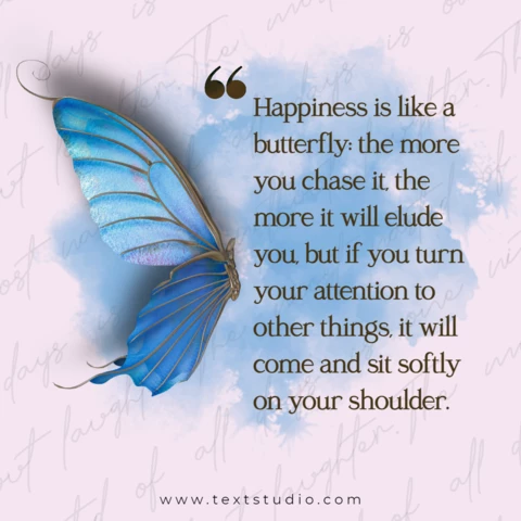 Pink And Blue Vintage Butterfly Happiness Quote Instagram Post Design