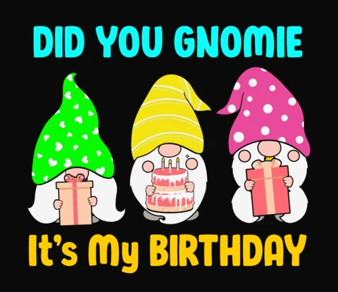 Did You Gnomie It's My Birthday T-Shirt Template