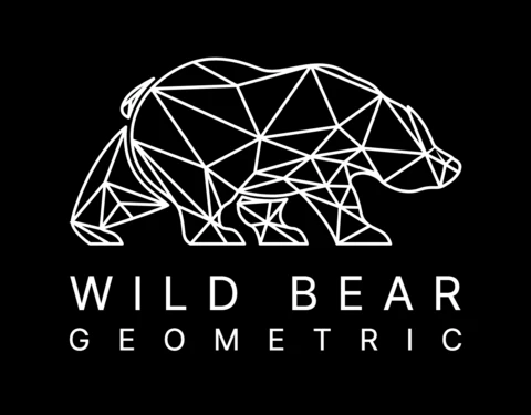 Geometric Bear Logo Design Template