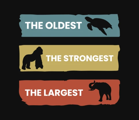 Largest Strongest T-Shirt Design Template
