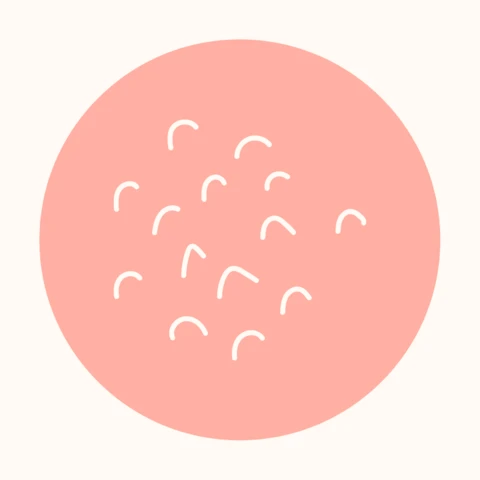 Halbkreisförmige Instagram-Story-Highlight-Cover-Designvorlage