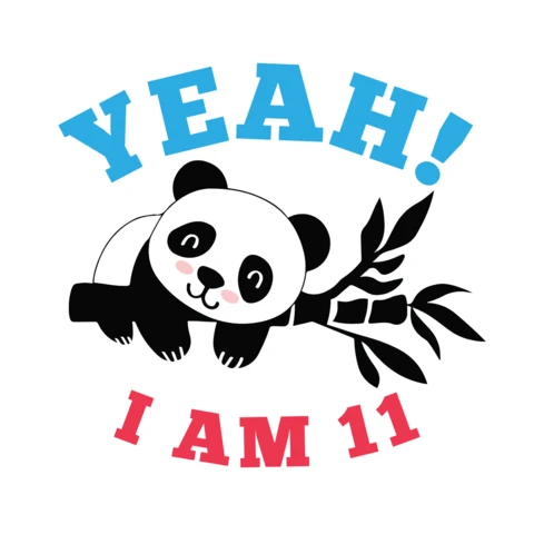 Kid Birthday Panda T-Shirt Design Template