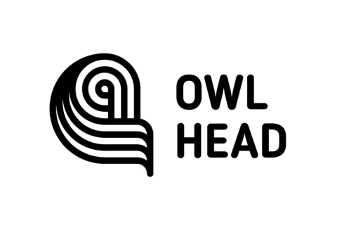 Modèle de logo tête de hibou