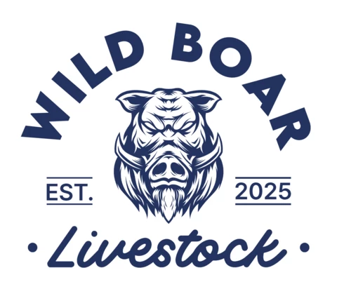 Wild Boar Logo Design Template