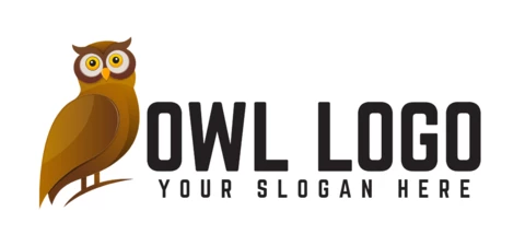 Cute Owl Logo Design Template