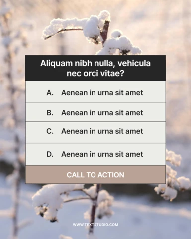 Winter Nature Quiz Instagram Post Design Template