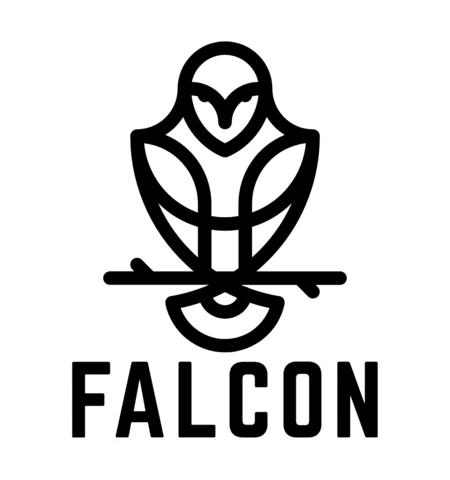 Szablon projektu logo Falcon