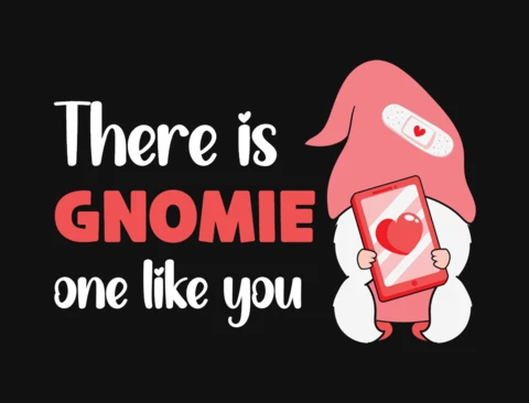 There Is Gnomie One Like You Valentine T-Shirt Template