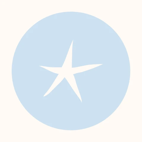 Шаблон оформления обложки для истории Star Instagram