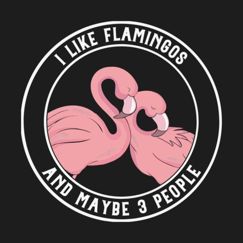 I Like Flamingos And Maybe 3 People T-shirt Design Template