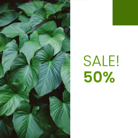 Plant Sale Instagram Social Media Post Design Template