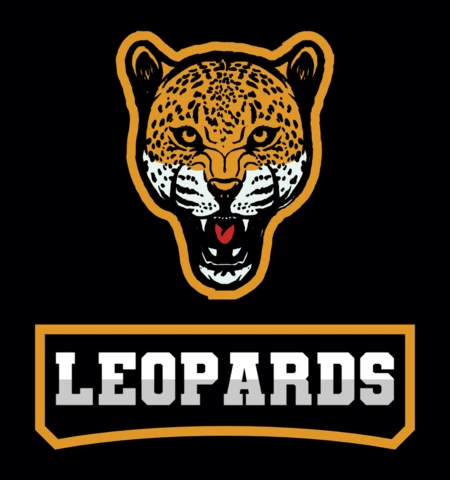 Leopard Gaming Sport Team Logo Design Template