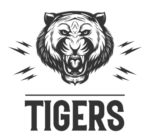 Tiger Head Logo Design Template