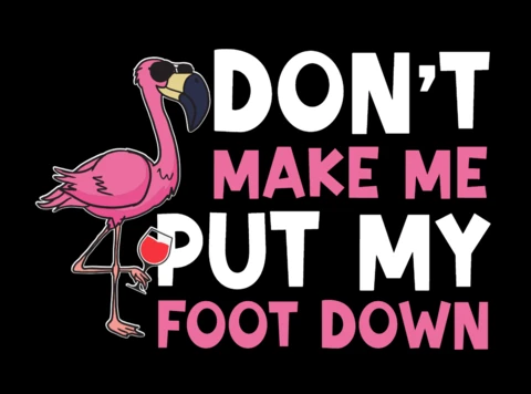 Don't Make Me Put My Foot Down Flamingo T-shirt Design