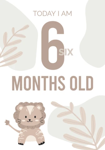 Six Months Old Baby Milestone Instagram Post Design Template