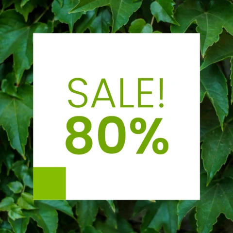 Big Gardening Sale Instagram Post Design Template