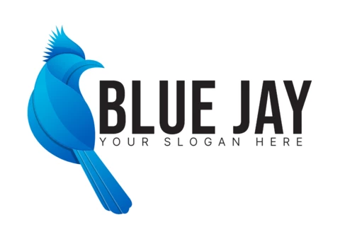 Plantilla de diseño de logotipo de empresa de pájaro azul jay