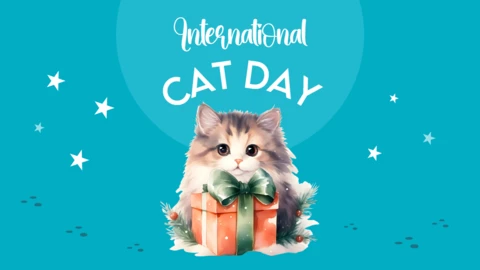 Internationaler Tag der Katze