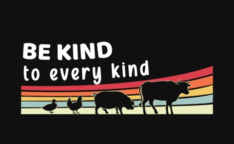 Szablon koszulki wegańskiej Be kind to every kind