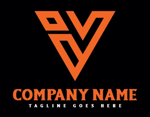 V Letter Company Logo Design Template