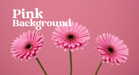 Plantilla de diseño floral con fondo rosa editable