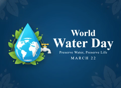 World Water Day Decorative Poster with Leaves, Droplet, and Conservation Theme