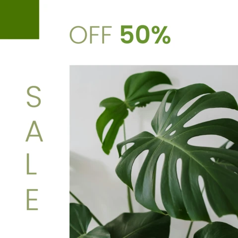 Promotional Social Media Plant Post Design Template