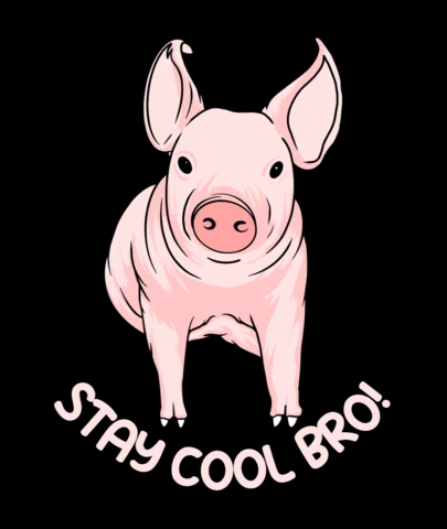 Cool Pig Cartoon ‘Stay Cool Bro’ Funny Animal Quote T-Shirt Design Template