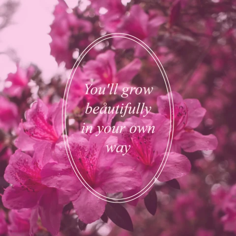 Growth and Beauty Instagram Post Design Template