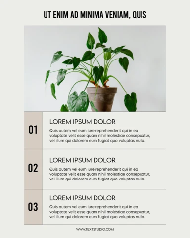 Plant Care Steps Instagram Post Design Template